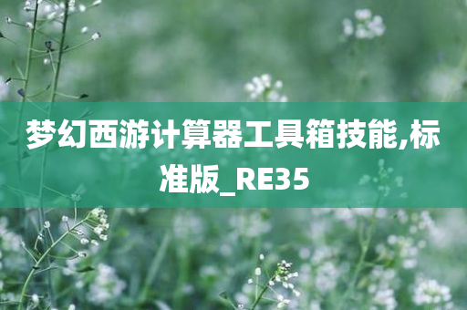 梦幻西游计算器工具箱技能,标准版_RE35