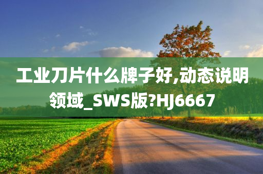 工业刀片什么牌子好,动态说明领域_SWS版?HJ6667