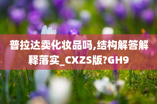 普拉达卖化妆品吗,结构解答解释落实_CXZS版?GH9