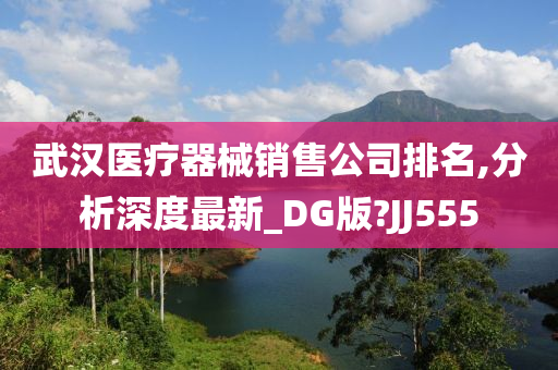 武汉医疗器械销售公司排名,分析深度最新_DG版?JJ555