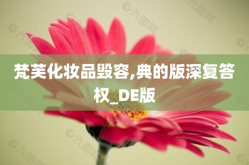 梵芙化妆品毁容,典的版深复答权_DE版