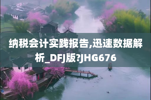 纳税会计实践报告,迅速数据解析_DFJ版?JHG676