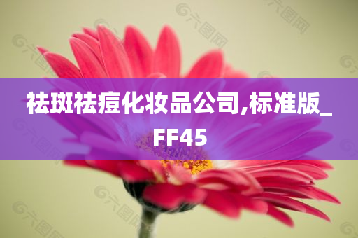 祛斑祛痘化妆品公司,标准版_FF45