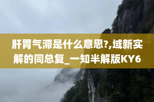 肝胃气滞是什么意思?,域新实解的同总复_一知半解版KY6