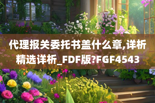 代理报关委托书盖什么章,详析精选详析_FDF版?FGF4543