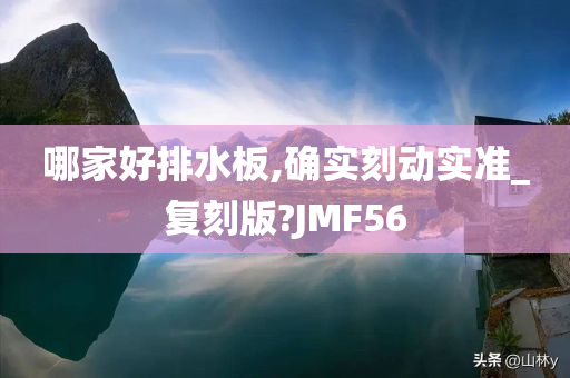 哪家好排水板,确实刻动实准_复刻版?JMF56