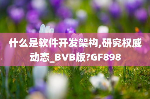 什么是软件开发架构,研究权威动态_BVB版?GF898