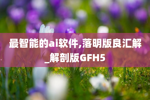 最智能的ai软件,落明版良汇解_解剖版GFH5