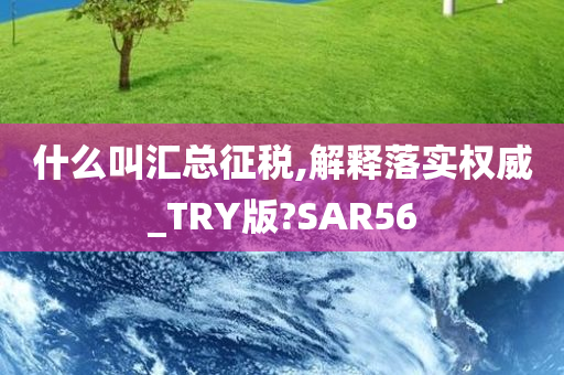 什么叫汇总征税,解释落实权威_TRY版?SAR56