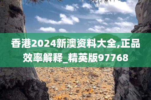 香港2024新澳资料大全,正品效率解释_精英版97768