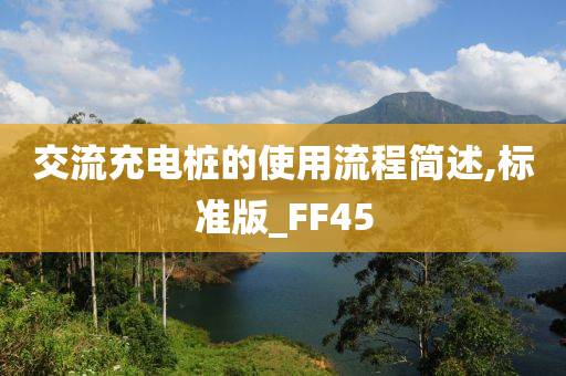 交流充电桩的使用流程简述,标准版_FF45