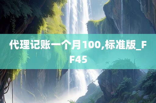 代理记账一个月100,标准版_FF45