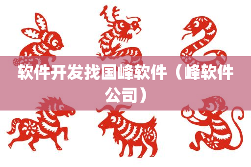 软件开发找国峰软件（峰软件公司）