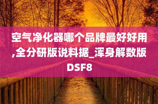 空气净化器哪个品牌最好好用,全分研版说料据_浑身解数版DSF8