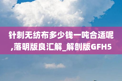 针刺无纺布多少钱一吨合适呢,落明版良汇解_解剖版GFH5