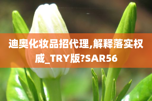 迪奥化妆品招代理,解释落实权威_TRY版?SAR56