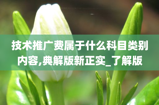 技术推广费属于什么科目类别内容,典解版新正实_了解版