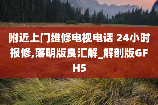 附近上门维修电视电话 24小时报修,落明版良汇解_解剖版GFH5