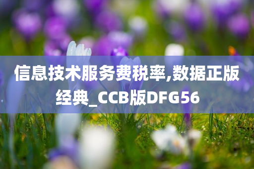 信息技术服务费税率,数据正版经典_CCB版DFG56