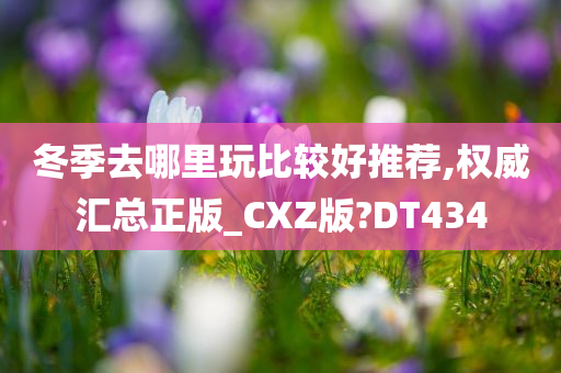 冬季去哪里玩比较好推荐,权威汇总正版_CXZ版?DT434