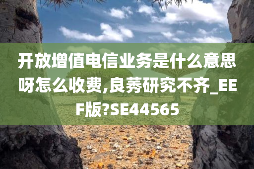 开放增值电信业务是什么意思呀怎么收费,良莠研究不齐_EEF版?SE44565