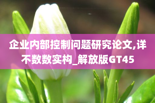 企业内部控制问题研究论文,详不数数实构_解放版GT45