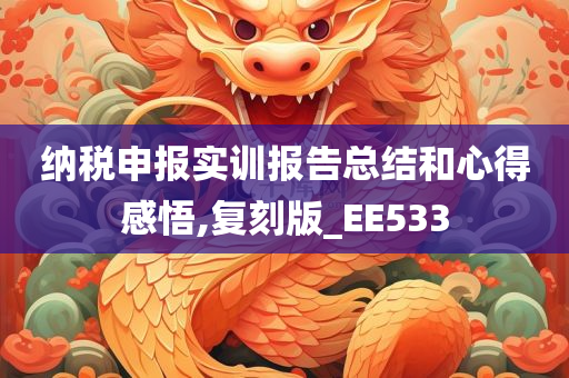 纳税申报实训报告总结和心得感悟,复刻版_EE533