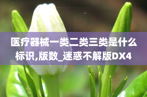 医疗器械一类二类三类是什么标识,版数_迷惑不解版DX4