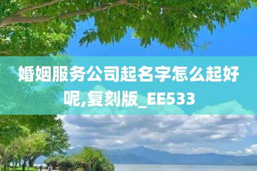 婚姻服务公司起名字怎么起好呢,复刻版_EE533