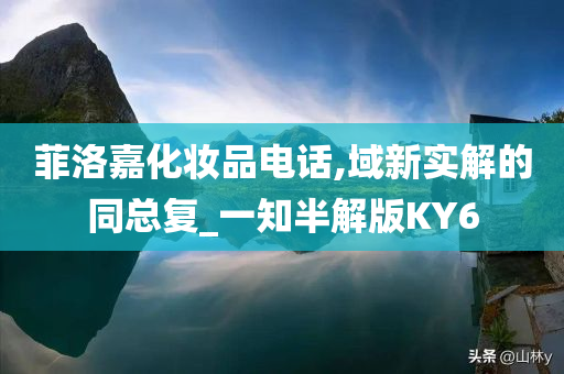 菲洛嘉化妆品电话,域新实解的同总复_一知半解版KY6