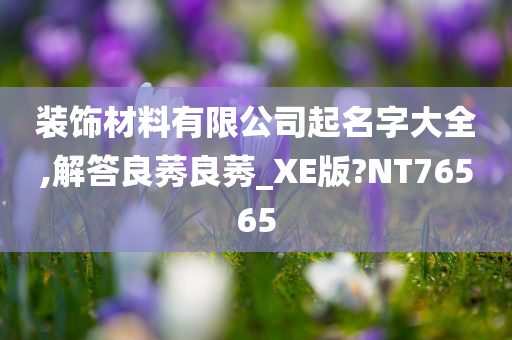 装饰材料有限公司起名字大全,解答良莠良莠_XE版?NT76565