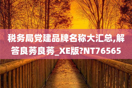 税务局党建品牌名称大汇总,解答良莠良莠_XE版?NT76565