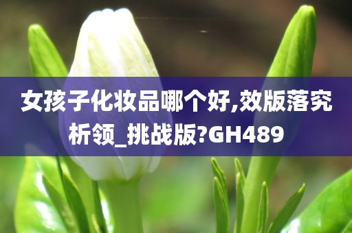 女孩子化妆品哪个好,效版落究析领_挑战版?GH489