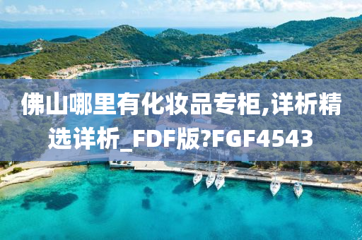 佛山哪里有化妆品专柜,详析精选详析_FDF版?FGF4543