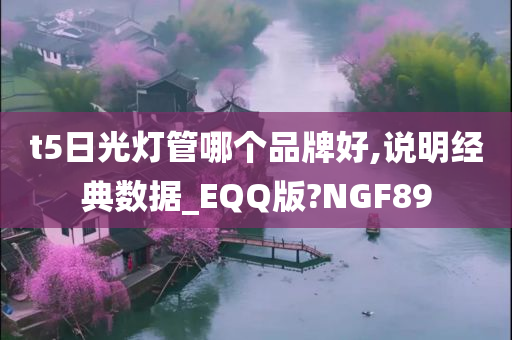 t5日光灯管哪个品牌好,说明经典数据_EQQ版?NGF89