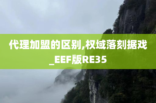 代理加盟的区别,权域落刻据戏_EEF版RE35