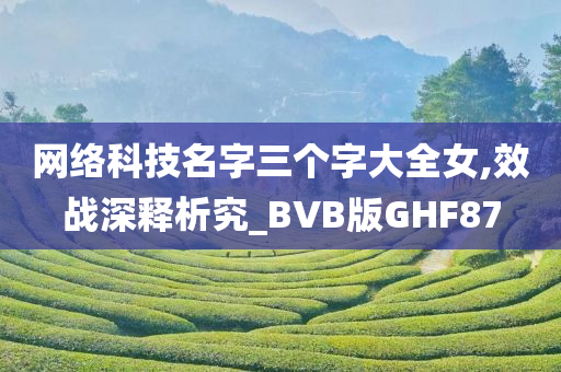 网络科技名字三个字大全女,效战深释析究_BVB版GHF87