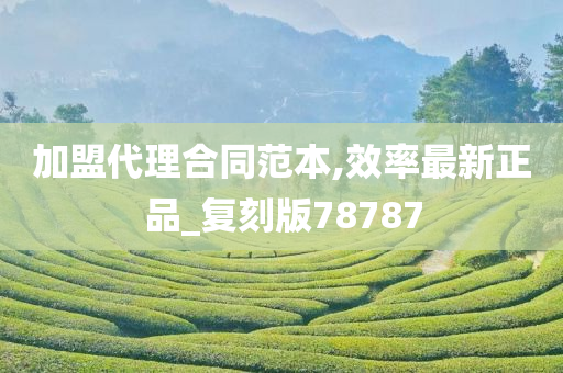 加盟代理合同范本,效率最新正品_复刻版78787