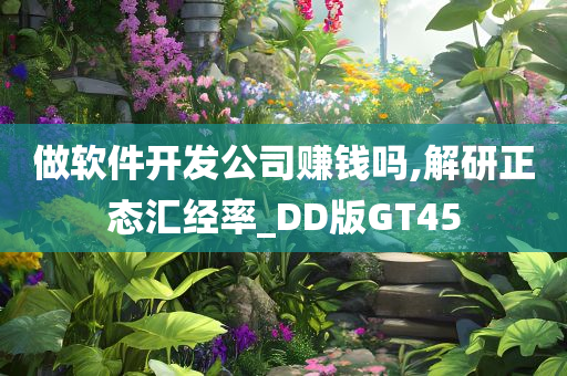 做软件开发公司赚钱吗,解研正态汇经率_DD版GT45