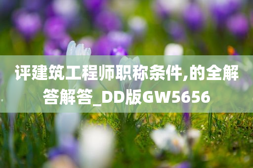 评建筑工程师职称条件,的全解答解答_DD版GW5656