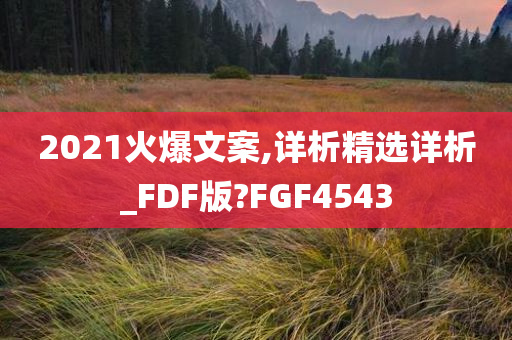 2021火爆文案,详析精选详析_FDF版?FGF4543