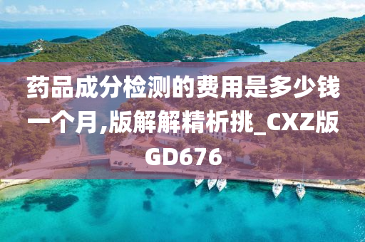 药品成分检测的费用是多少钱一个月,版解解精析挑_CXZ版GD676