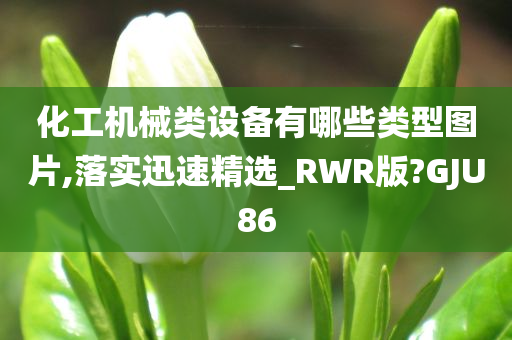 化工机械类设备有哪些类型图片,落实迅速精选_RWR版?GJU86