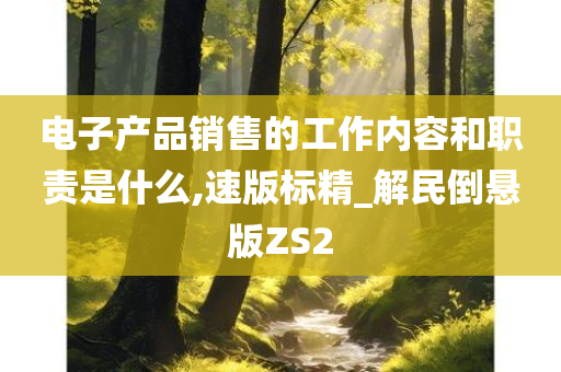 电子产品销售的工作内容和职责是什么,速版标精_解民倒悬版ZS2