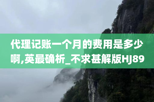 代理记账一个月的费用是多少啊,英最确析_不求甚解版HJ89