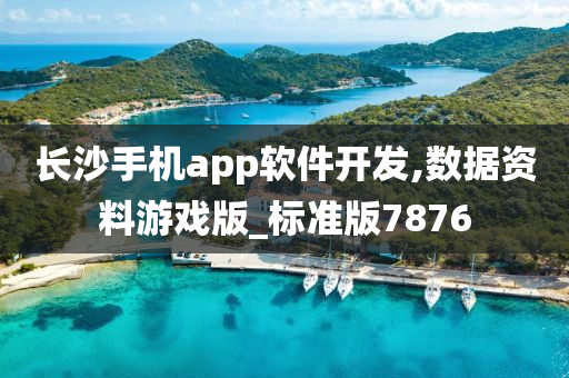 长沙手机app软件开发,数据资料游戏版_标准版7876