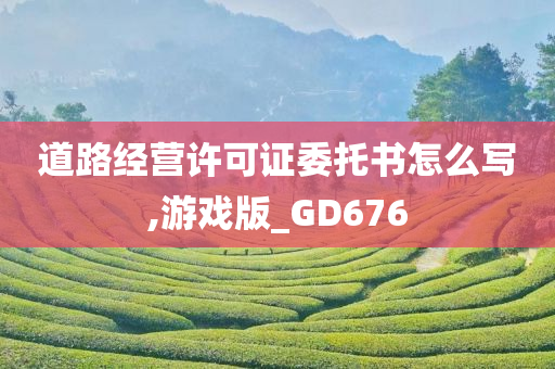 道路经营许可证委托书怎么写,游戏版_GD676