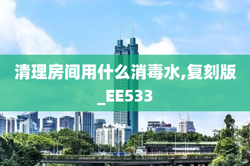 清理房间用什么消毒水,复刻版_EE533