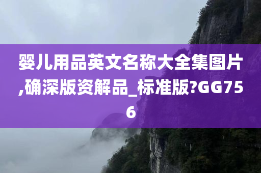 婴儿用品英文名称大全集图片,确深版资解品_标准版?GG756