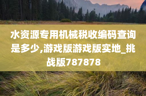 水资源专用机械税收编码查询是多少,游戏版游戏版实地_挑战版787878